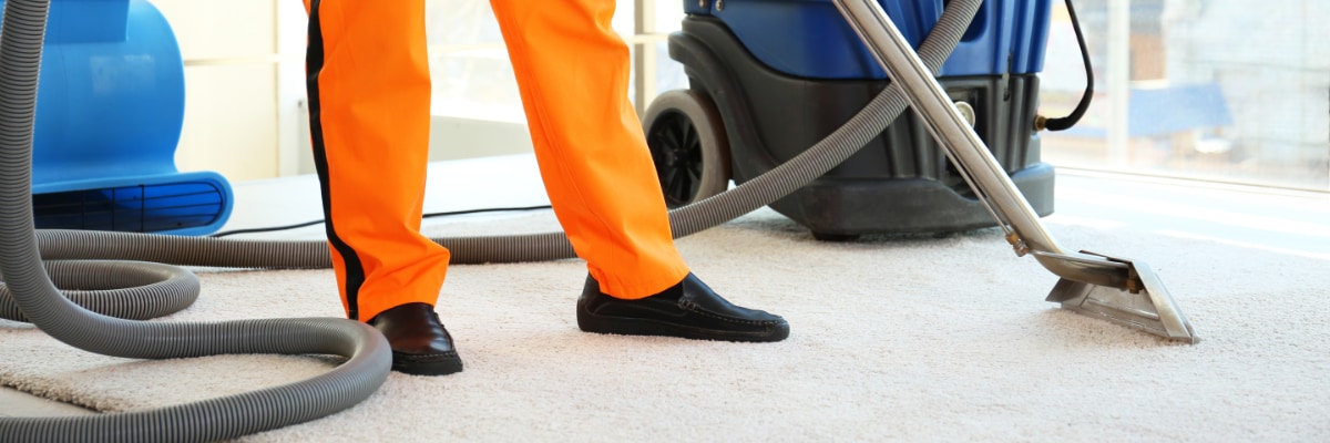 professional cleaner cleaning carpet in an office